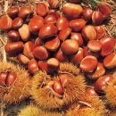 죽산농장 이미지