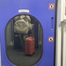 라보떼펜션&송정핫도그 | 강아지랑 거제도 여행기 1편