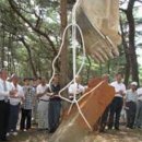 조선뽑기방 이미지