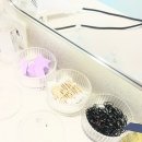 다대신발 - 사하구 다대로 556 | 대구피부관리/대구반월당피부관리/동성로피부관리/가꾸다대구본점/알테온 후기