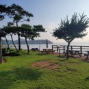 오투 | 11월 국내 가족여행 갈만한곳 추천 태안 가족펜션 오투오션 후기