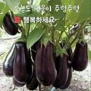 챗지피티 이미지