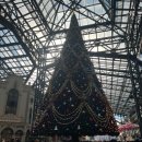 주식회사지씨컴퍼니 | 초등학생과 함께 도쿄여행 디즈니씨&amp;디즈니월드 추천 어트랙션 DPA 없이 몇개나 탈 수 있을까