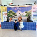 안성맞춤아트홀 대공연장 | 안성맞춤 아트홀에서 4살 아이와 뮤지컬 관람 백희나 장수탕선녀님 후기