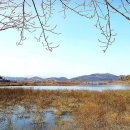 강변에서 이미지