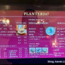 CAFE 247 이미지