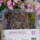 만남곱창