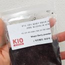 당신의 혈관 나이를 젊게 하는 '마키베리'는 무엇?