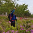 마골산화장실 이미지