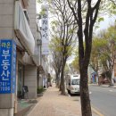 앤느네일