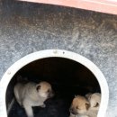 풍산농장 이미지