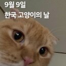 맛자랑본가 | 운동하고 먹고 자고 일하고.. 베테랑 2 시사회 당첨되다..