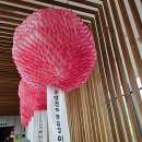 탄허기념박물관 이미지