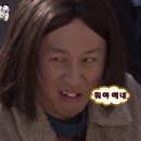 두리무역 | 본격 크리스마스 시즌을 즐기는 11월 일상 모음