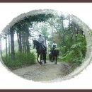 화이트밸리 이미지