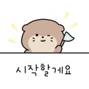 119카플라자 이미지