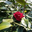 신전농장 이미지