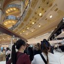 신기 3 신기3구경로당 | 파리 미슐랭1스타 pantagruel, 파리3구 중식 맛집 chez mamie : 먹다가 하루가 끝난 것에 대하여