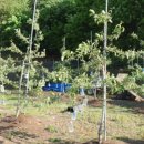 청천농장 이미지