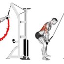 인트로짐 가장점 이미지