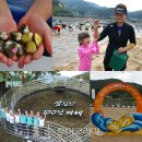 네잎클로버의 메아리 이미지