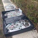 새로운우리세상 부영체육관 | [콘서트] 251012 🎊김준수 페스타콘 선선콘 🔥막콘💙 후기 (XIA 2025 CONCERT Chapter 2 : FESTA)(잠실실내...