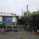 초가시골밥상 | 오산 내삼미동맛집 건강한 밥상 초가집 애견동반가능 몸보신 능이오리백숙추천