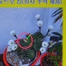 뉴트로월드 이미지
