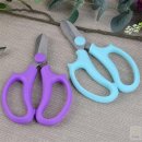 가위여왕 이미지