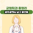 GS25 봉선무등3차점 | 광주광역시 남구 봉선동 교정치과 총정리