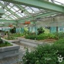 강원도립화목원 이미지