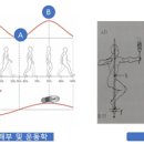 홍재화의 걷기와 건강 이미지