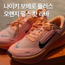 핫플러스(HOT PLUS)