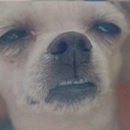 수플래너 이미지