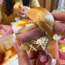 도시고양이생존연구소 이미지