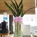 황원준정신건강의학과의원 이미지