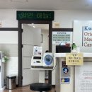 수지침 | 대구 8체질 한의원 권한의원 8체질 진단 후기｜첫 방문에 체질 진단받고 왔어요