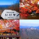 10/28[토]내장산 8봉 단풍종주 (100대 명산)-산행안내/좌석표 이미지