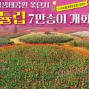 낙동강관리본부 화명생태공원 15 이미지