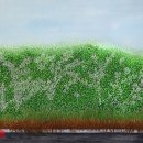 서진기획 이미지