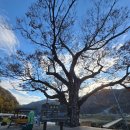 GS25평창방림점 | 2025-11-12~13 cb500x 동강