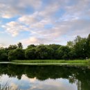 2-3 원예 치료전문가 과정 이미지