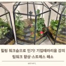 나만의세상 테라리움 만들기 | 기업 테라리움 강의 출강, 나만의 작은 세상 만들기 워크샵