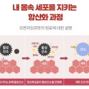 홍익약국 이미지