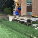 하이두 축구클럽 하이두 풋살장 네이버블로그