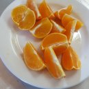 향수 농장 이미지