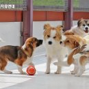해민메이트 이미지