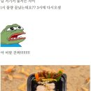 여의도 김밥축제 후기 이미지