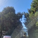 가율목장 | [제주도] 한달에 한번 이상 가고싶은 제주 아침미소목장 ♥