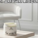 다팜MALL 이미지